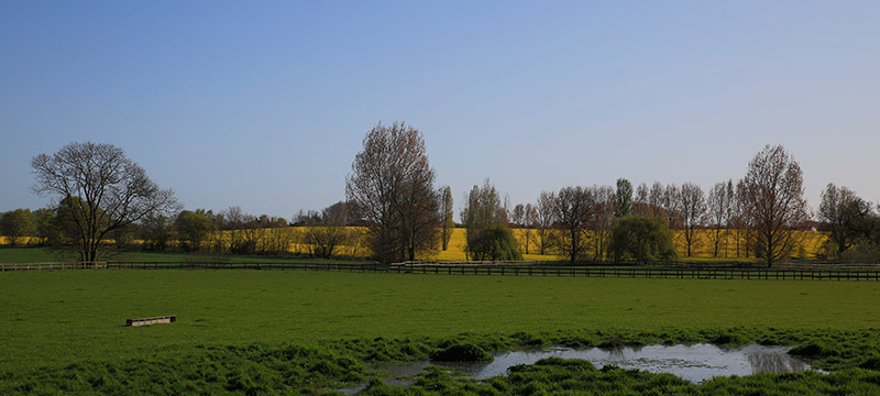 Essex Wedding, English Country Weddings, Wedding Vdeo, Wedding Film, Cinematography, Videography