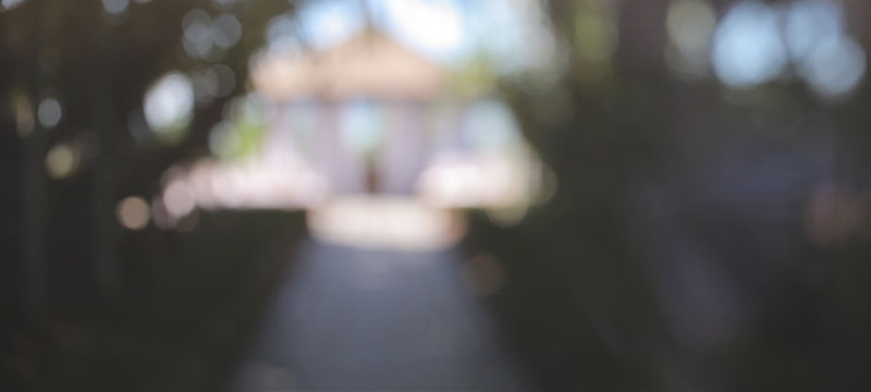 Villa Botanica Wedding